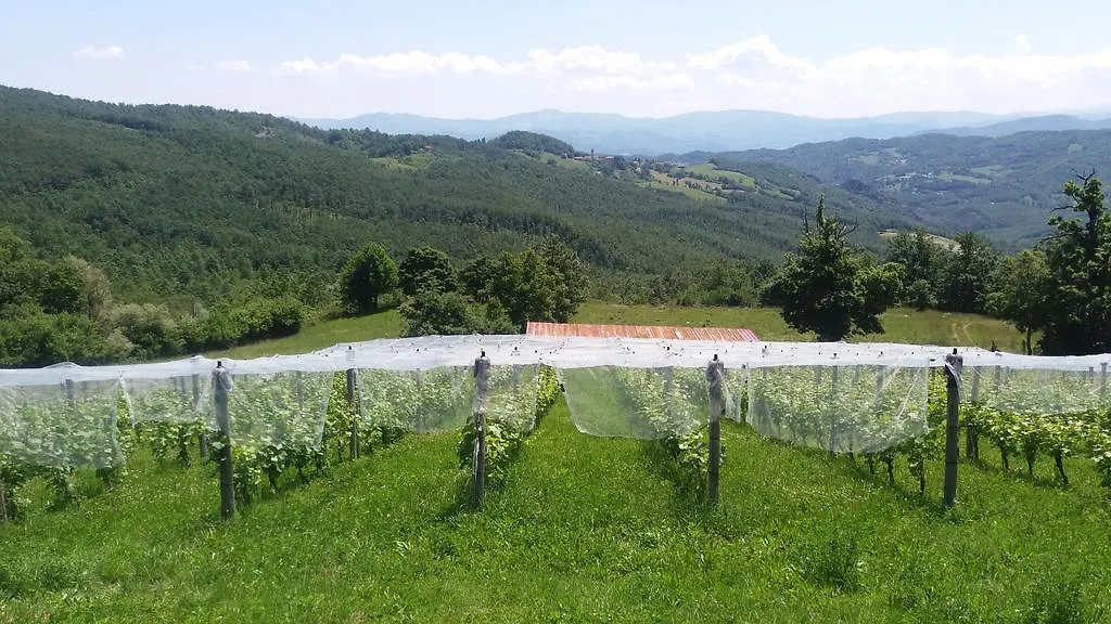 Casa Vacanze Rovere Villa Pianelleto Italia